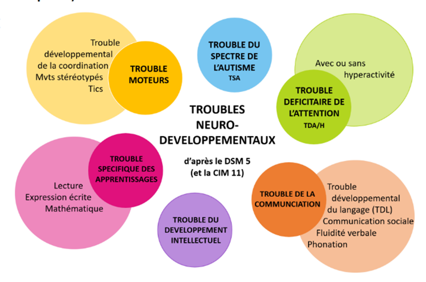 Schéma explicatif des troubles du neurodéveloppement selon le DSM-5 et la CIM-11, présentant les Troubles du Spectre de l’Autisme (TSA), les troubles de la communication, de l’attention, des apprentissages, moteurs et du développement intellectuel.